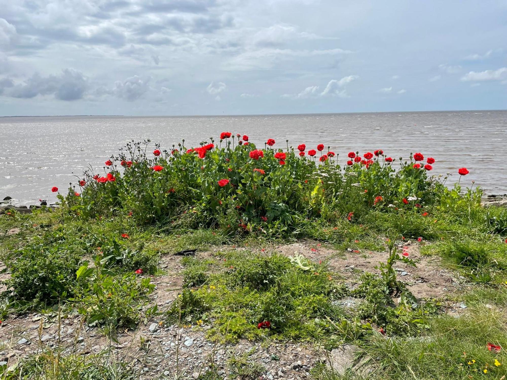 Campsite The Dean's On The Edge Heysham